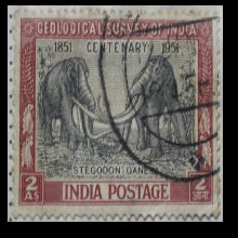 India Stamps