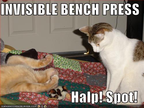 invisible bench press