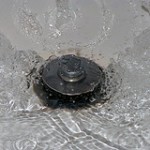 shower drain