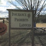 insurance