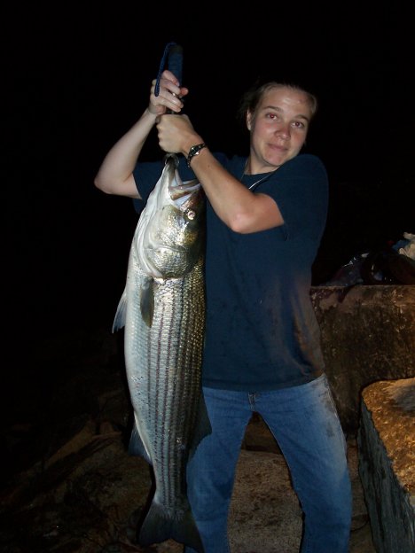 Striper