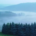 Early summer morning fog in the Pennsylvania Mountains