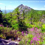 Mt. Chocurua as viewed from Middle Sister mountain in the Presidential Range, White Mountains, New Hampshire. Photo by Patrick LaFreniere on May 29, 2004.